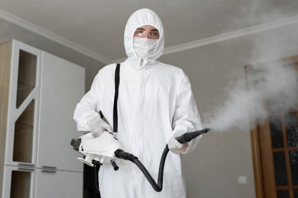 Trusted Spencer, OK Mold Removal & Remediation Experts