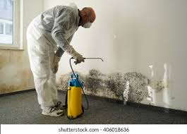 Mold Documentation for Insurance Claims in Spencer, OK